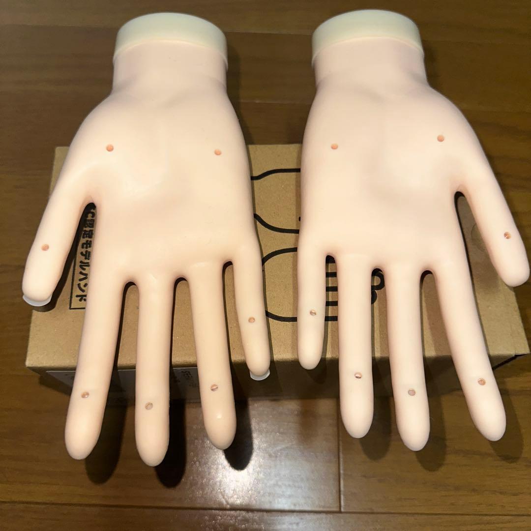 JNEC 認定モデルハンド　２個セット