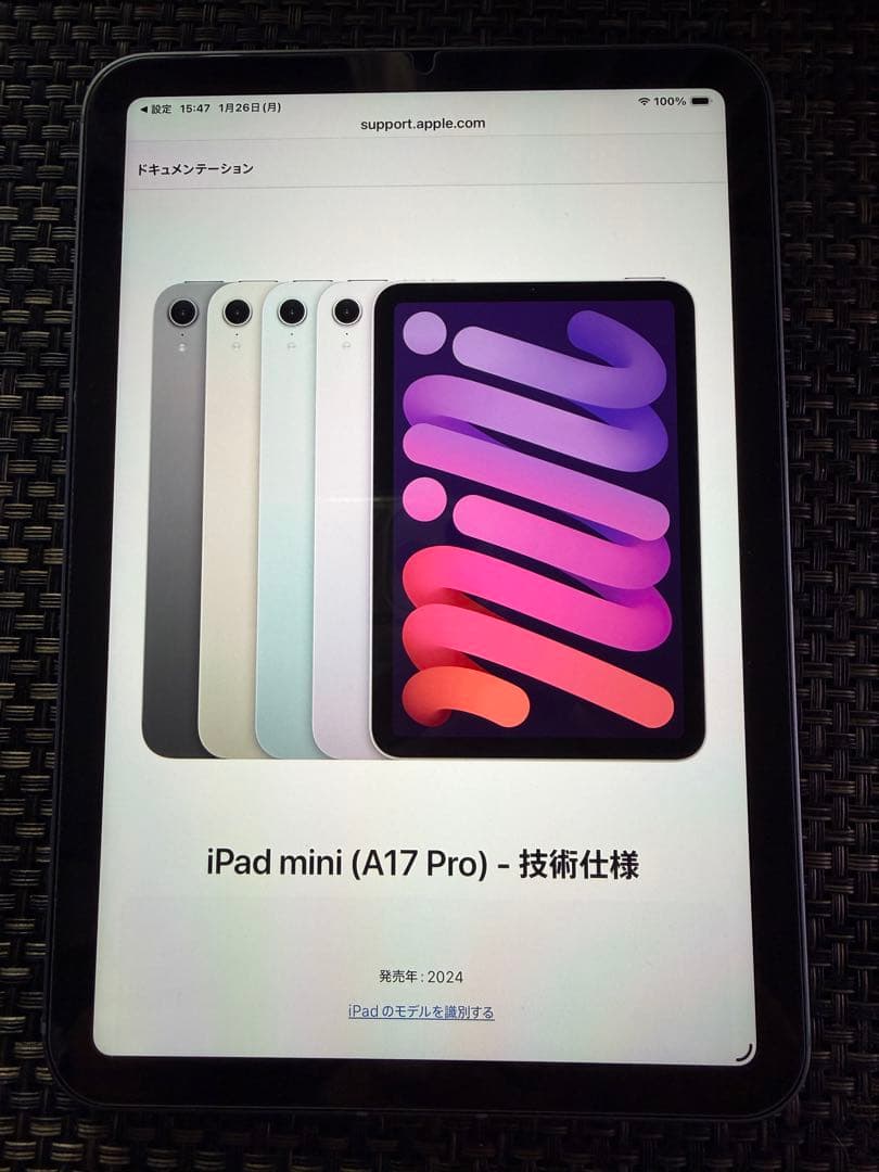IPad mini A17 Pro 8GB 256GB wifi,セルラー保3月