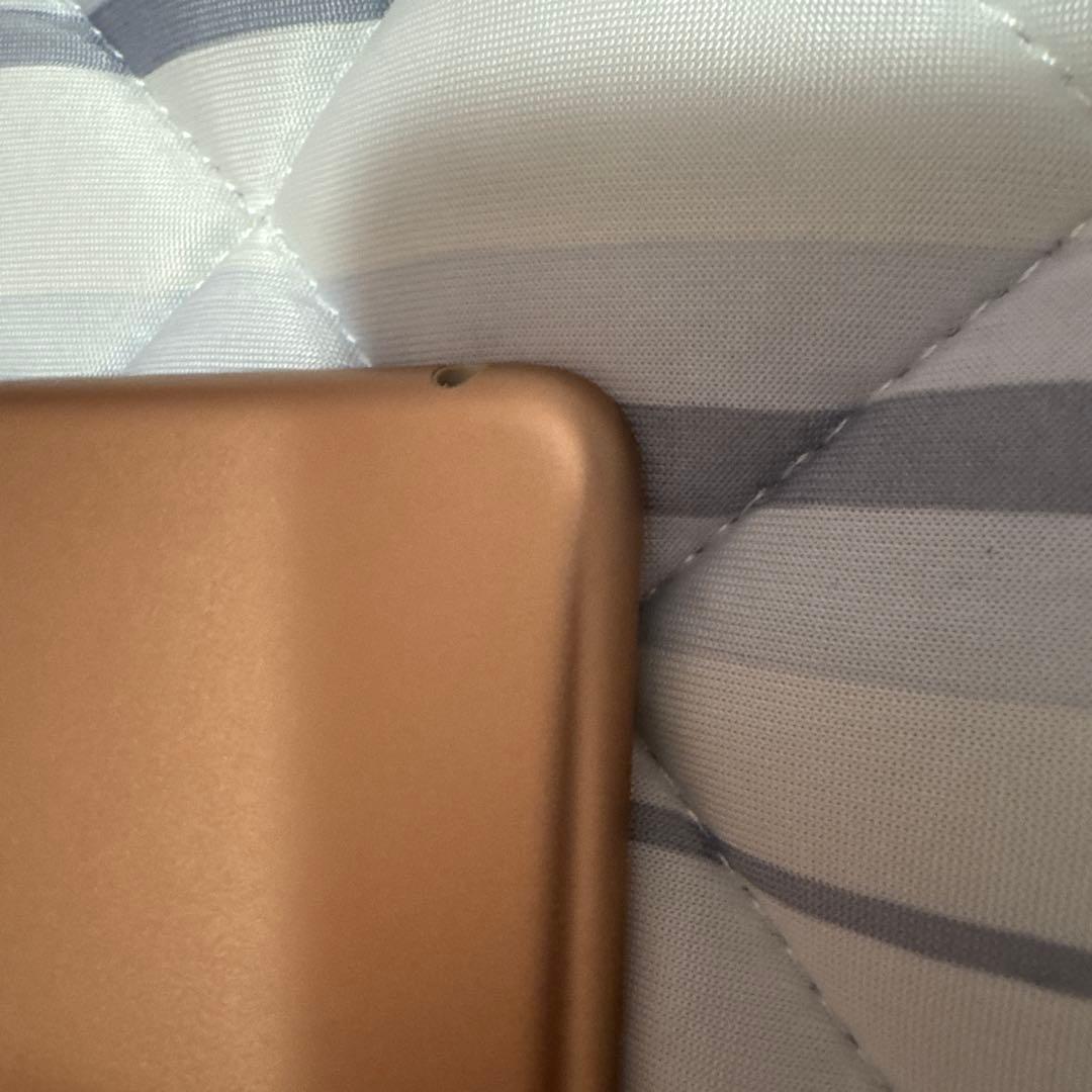 2524極美品新品級☆電池最良好☆iPad mini5 64GB WIFIモデル