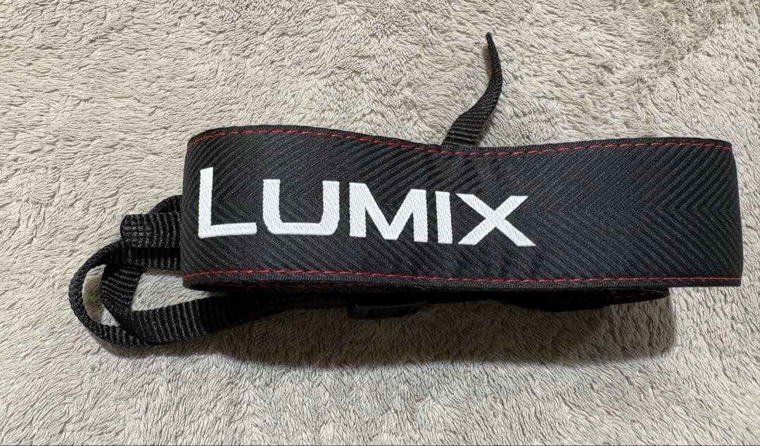 LUMIX S5 標準ズームレンズ・マイク(COMICA)シャッター回数732回