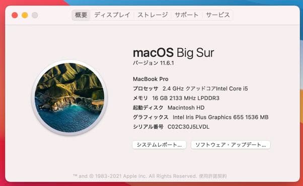 【セール】MacBook Pro/13インチ/Magic Mouse2セット
