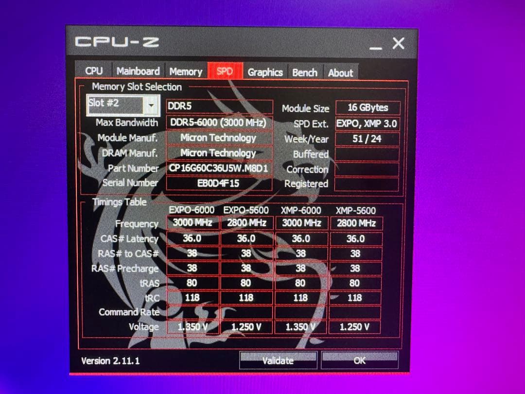 Crucial DDR5 Pro メモリ 32GB(16GB×2)