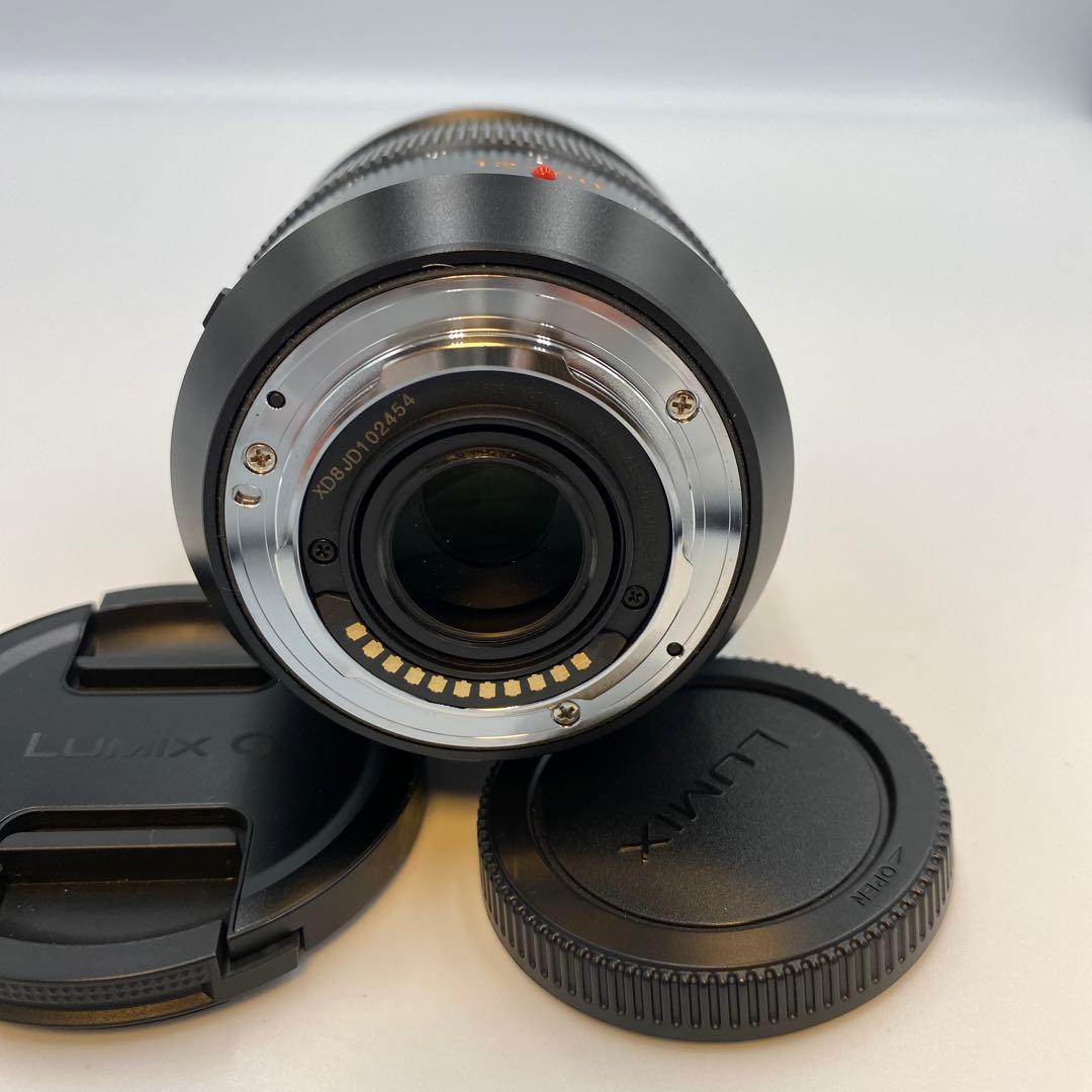 Panasonic H-ES200 12-60mm ズームレンズ