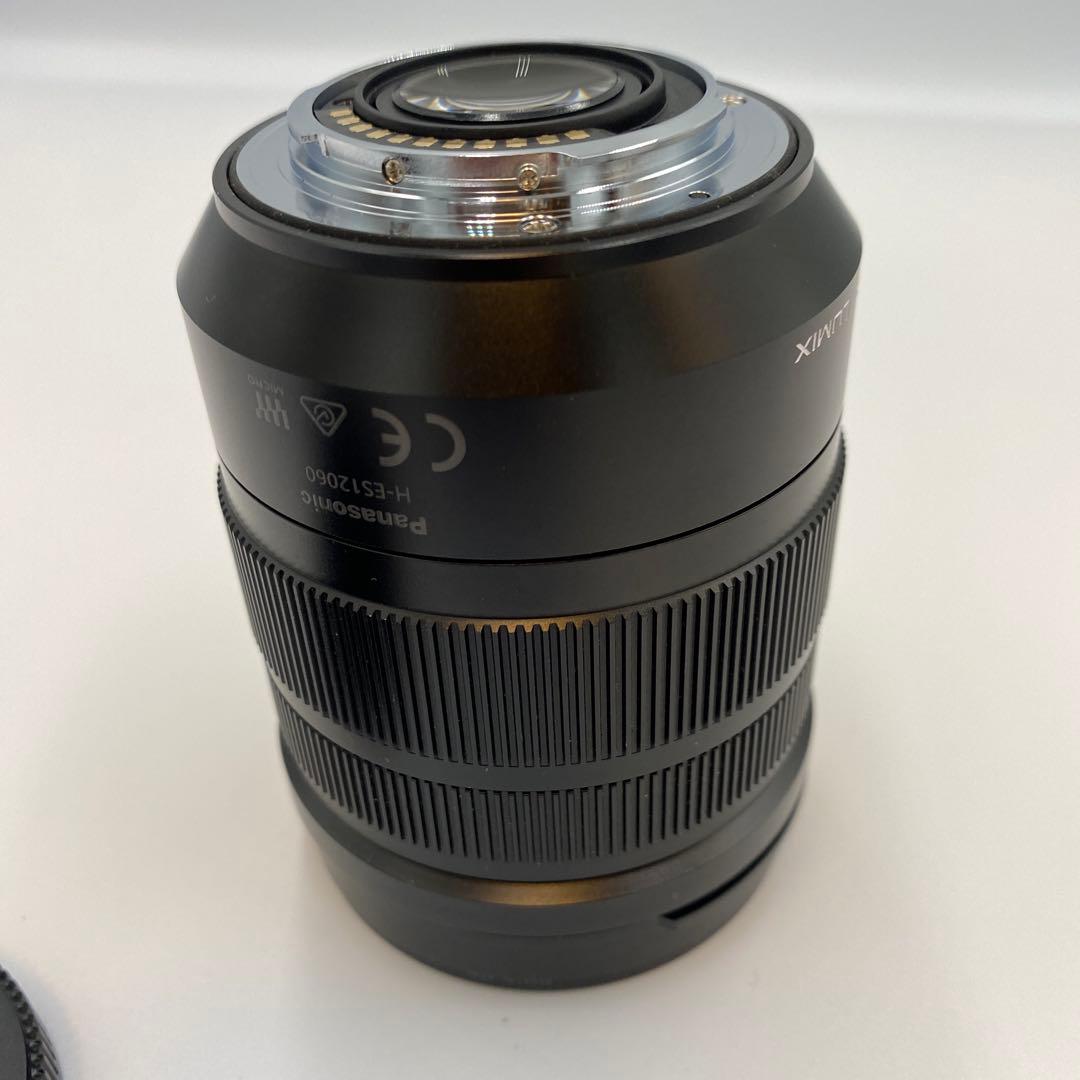 Panasonic H-ES200 12-60mm ズームレンズ