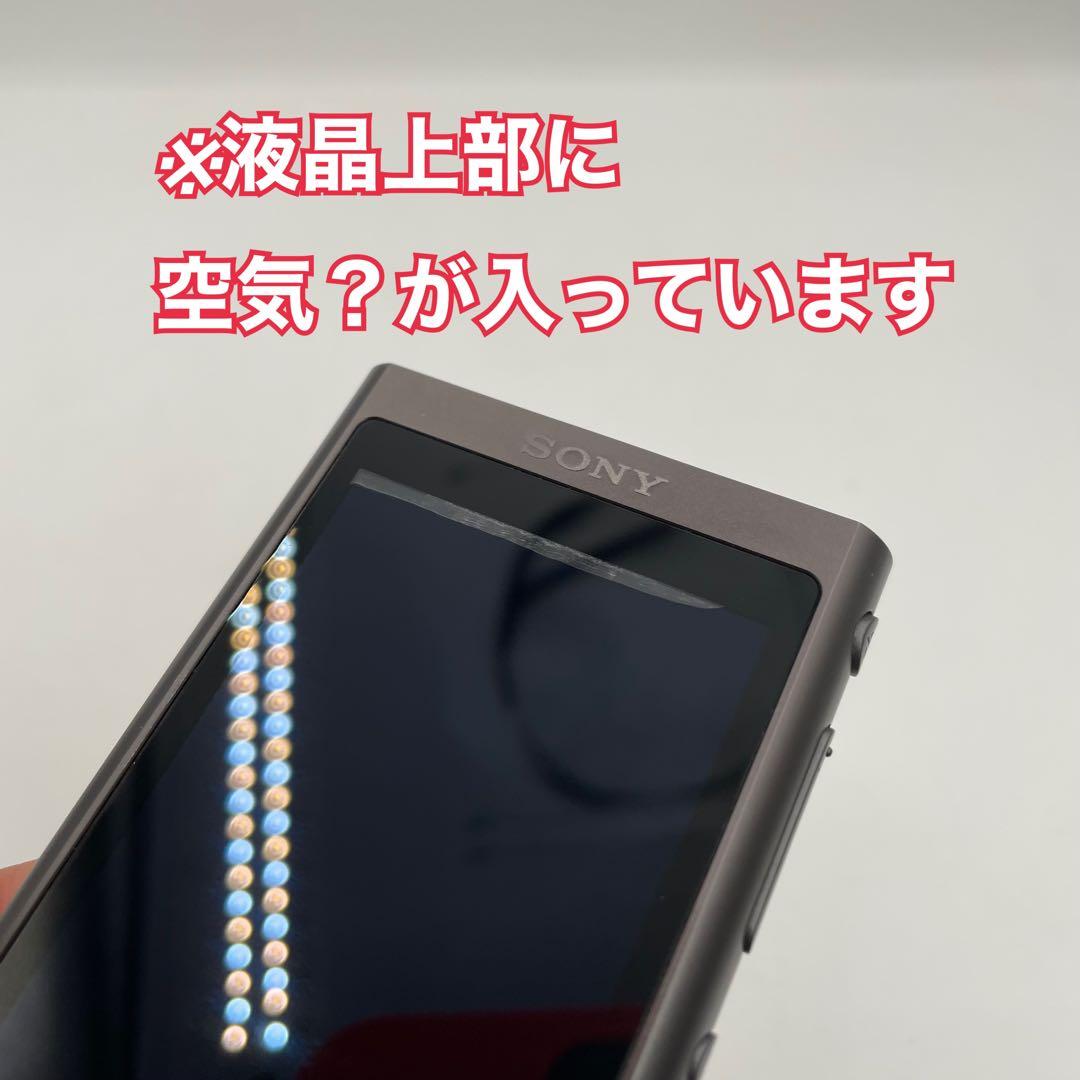 SONY WALKMAN NW-A55 本体・ケーブルのみ