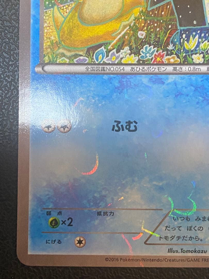 コダック ポケキュン プロモ