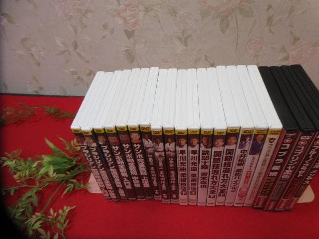 j*n様 8YY384　大量 DVD21本 ブラジリアン柔術完全教則/柔術技法D