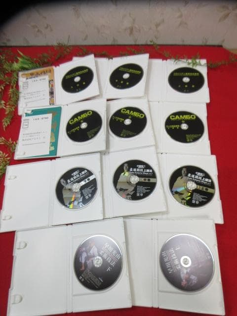 j*n様 8YY384　大量 DVD21本 ブラジリアン柔術完全教則/柔術技法D