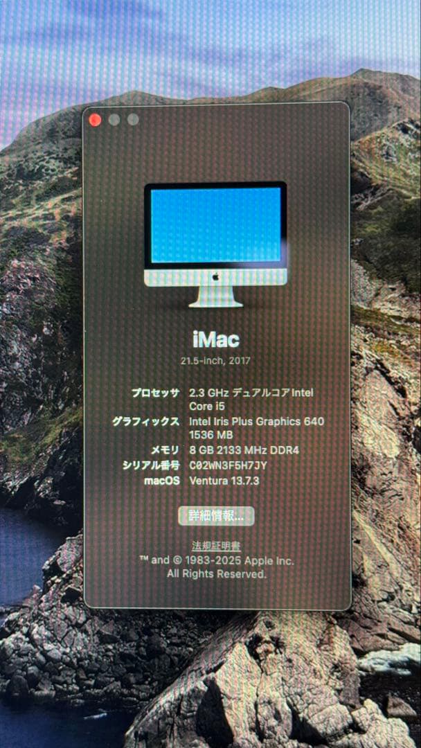 Apple iMac 21.5インチ 2017 純正キーボード・マウス付き