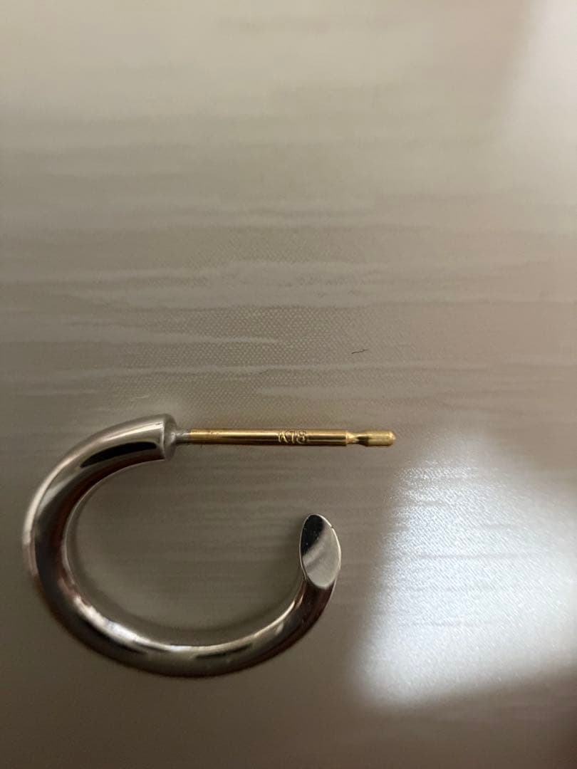 アクセサリー CAREERING PLACEBO 301 (SV)