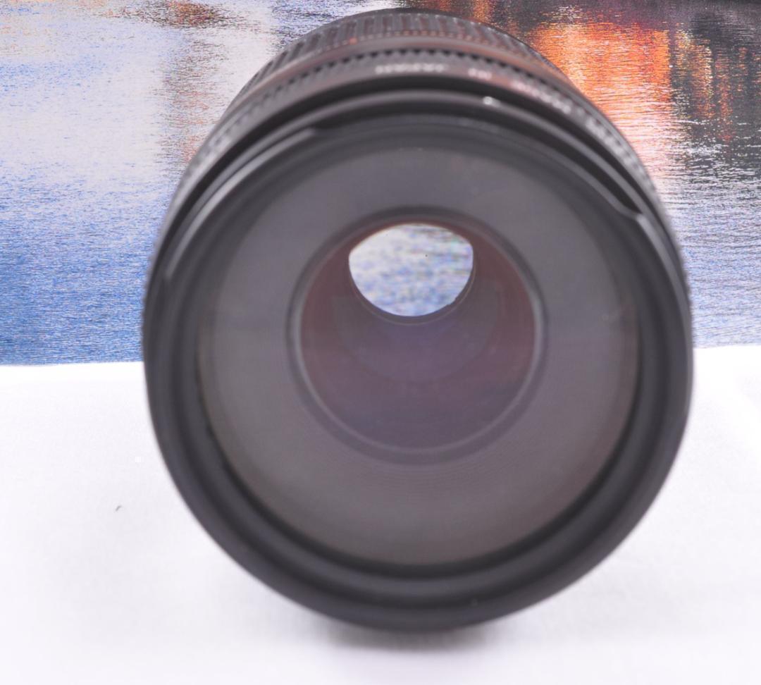 貴重な一瞬を望遠で！Canon キヤノン 望遠レンズEF75-300mm♦