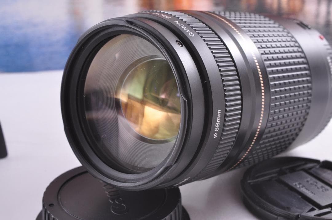 貴重な一瞬を望遠で！Canon キヤノン 望遠レンズEF75-300mm♦