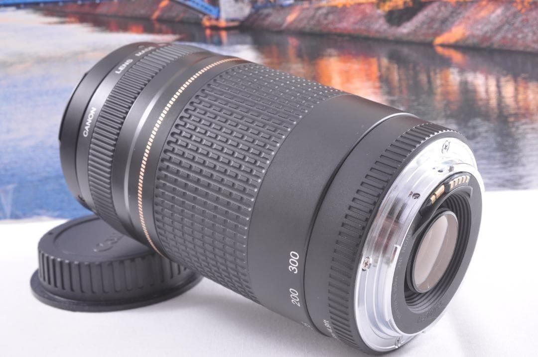 貴重な一瞬を望遠で！Canon キヤノン 望遠レンズEF75-300mm♦