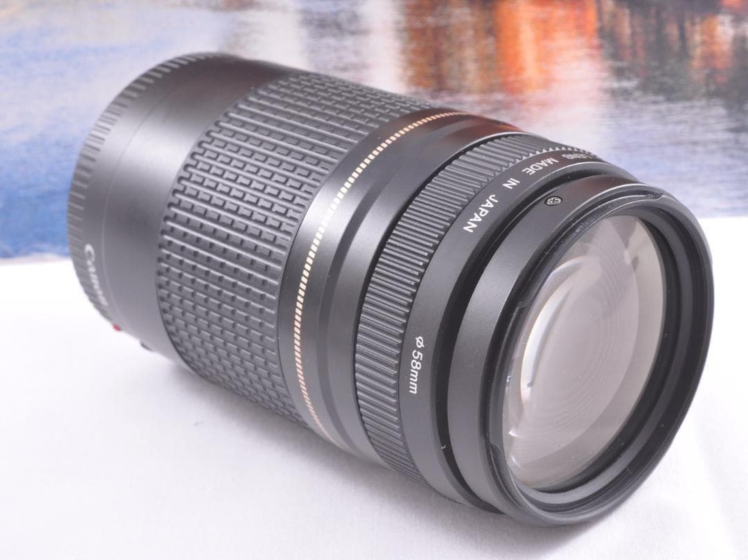 貴重な一瞬を望遠で！Canon キヤノン 望遠レンズEF75-300mm♦