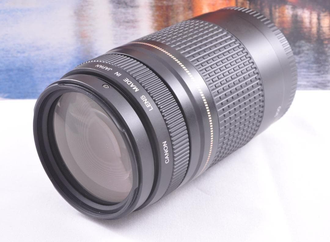 貴重な一瞬を望遠で！Canon キヤノン 望遠レンズEF75-300mm♦