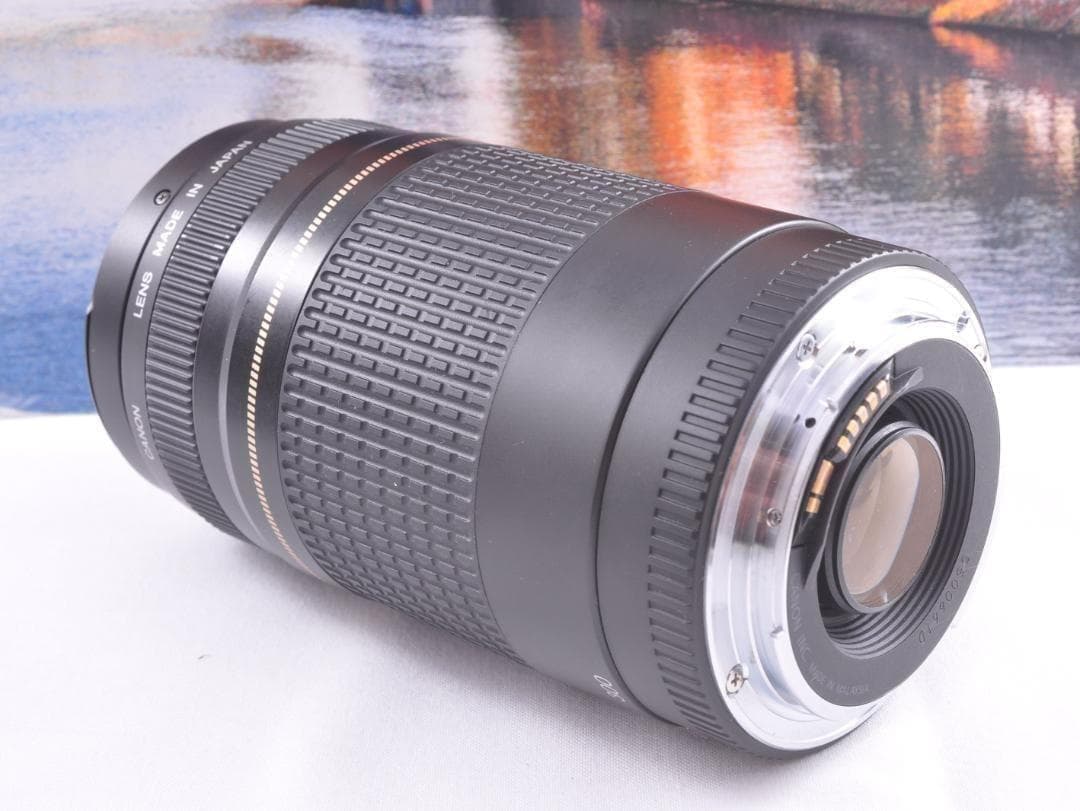 貴重な一瞬を望遠で！Canon キヤノン 望遠レンズEF75-300mm♦