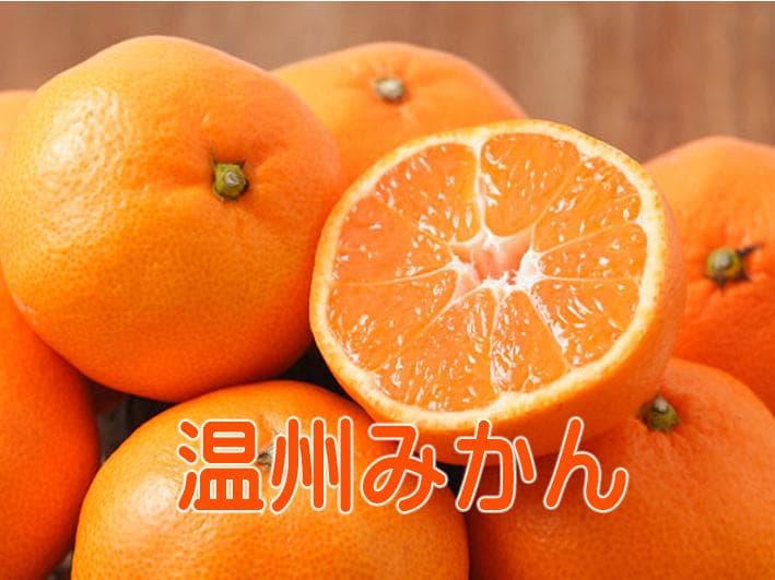 【ティアレ】6種類✕500ml 12本×２箱　別所送　【２箱縛りでの発送】