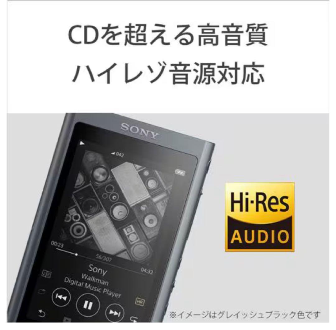 【新品未開封】SONY WALKMAN NW-A55 ASeries 16GB
