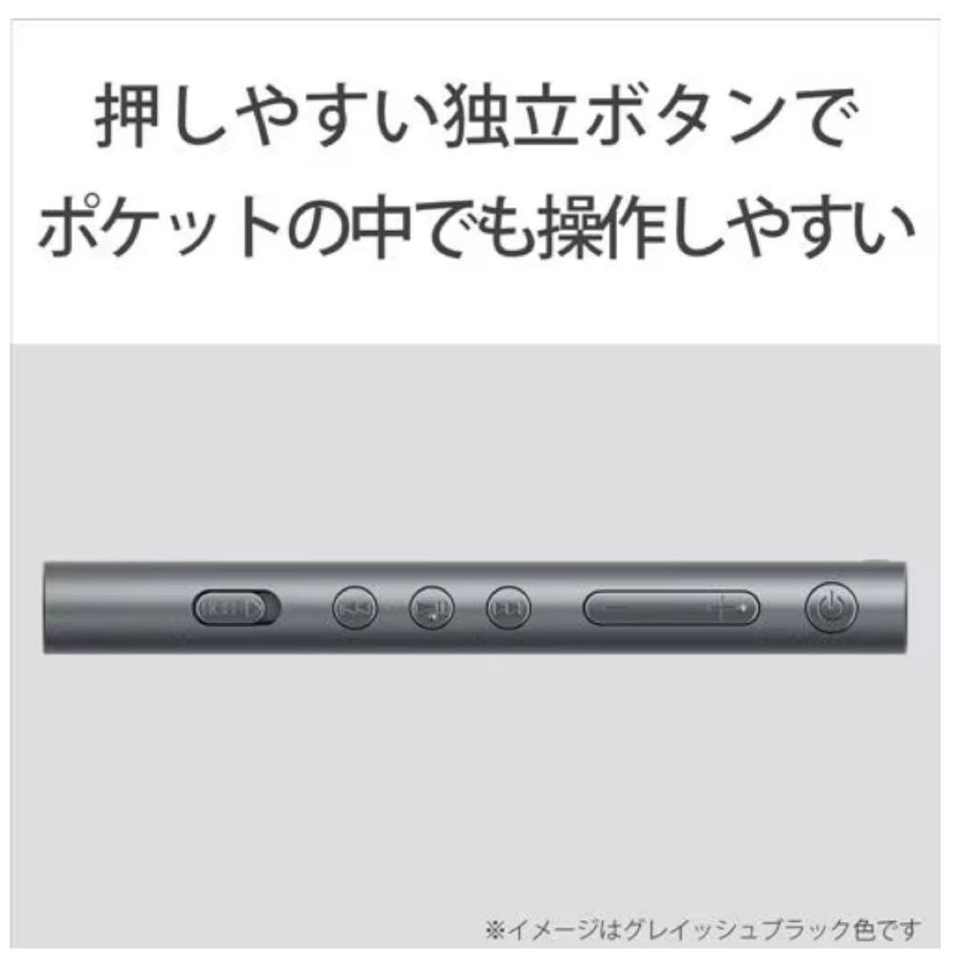 【新品未開封】SONY WALKMAN NW-A55 ASeries 16GB