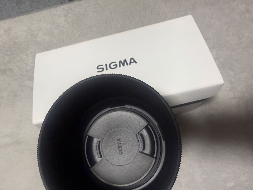 シグマ(Sigma) レンズ 100-400mm F5-6.3 DG DN