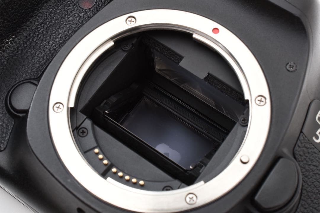 デジタルー眼レフカメラCanon EOS 5D mark III望遠レンズセット