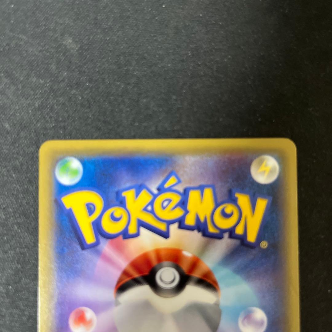 ポンチョを着たピカチュウⅹ2 名刺カードⅹ2