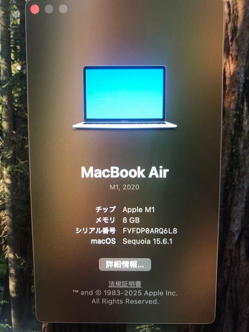 MacBook本体 Apple MacBook Air M1/8G/512GB