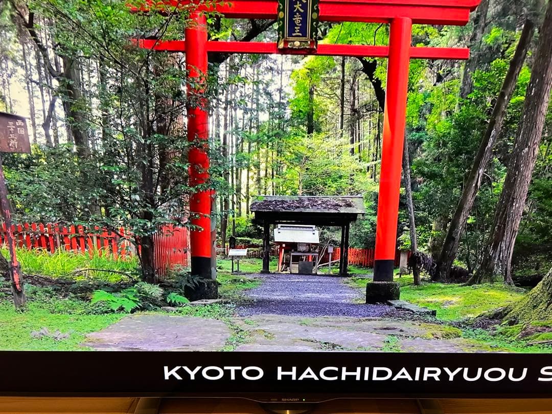 大幅値下げ美品 シャープ アクオス 60インチ LC-60US40