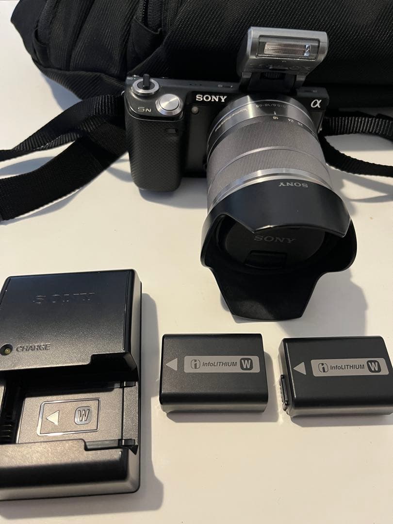 ピンクの猫　SONY NEX-5N 18-55mmレンズバッグフラッシュ