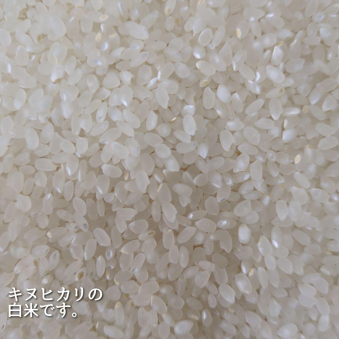 令和7年産三重県伊賀産キヌヒカリ20kg普通精米（5kg×4）