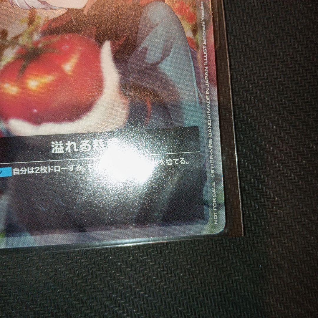 ニュータイプチャレンジ　未開封2枚セット