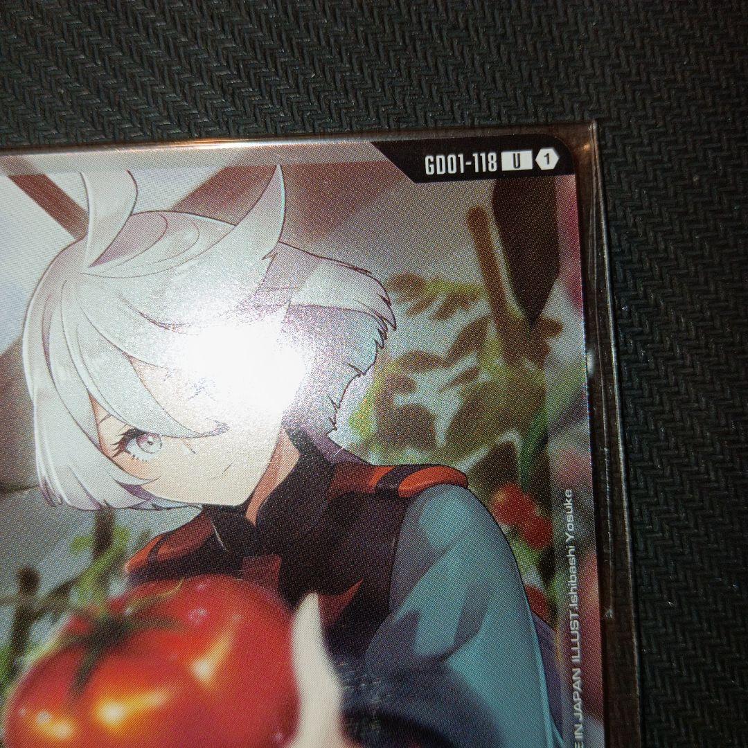 ニュータイプチャレンジ　未開封2枚セット