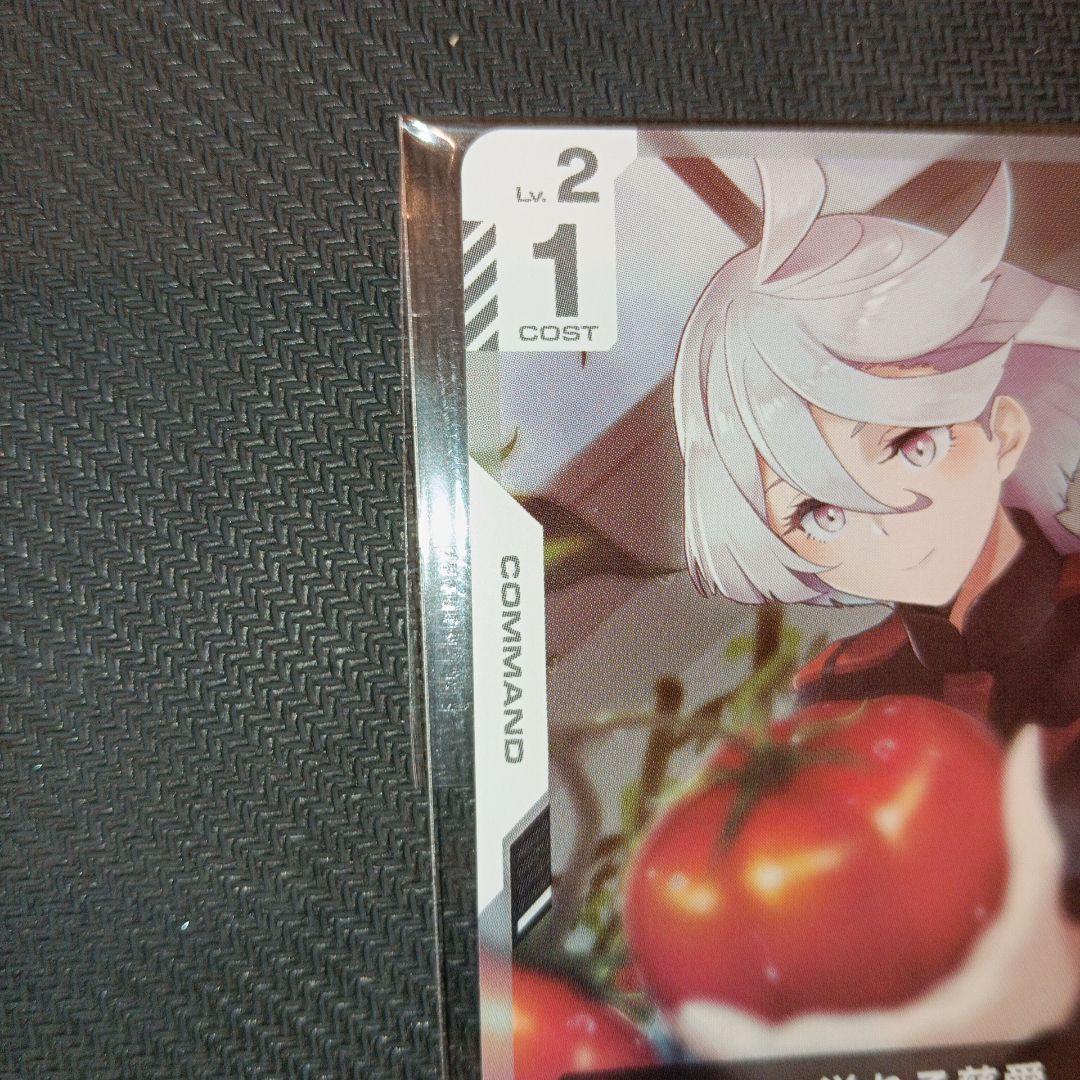 ニュータイプチャレンジ　未開封2枚セット