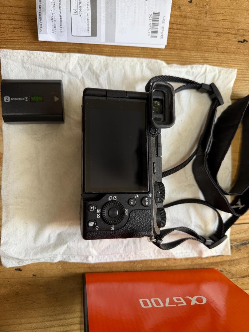 トラ　SONY α6700 本体 ILCE-6700とカメラバッグ