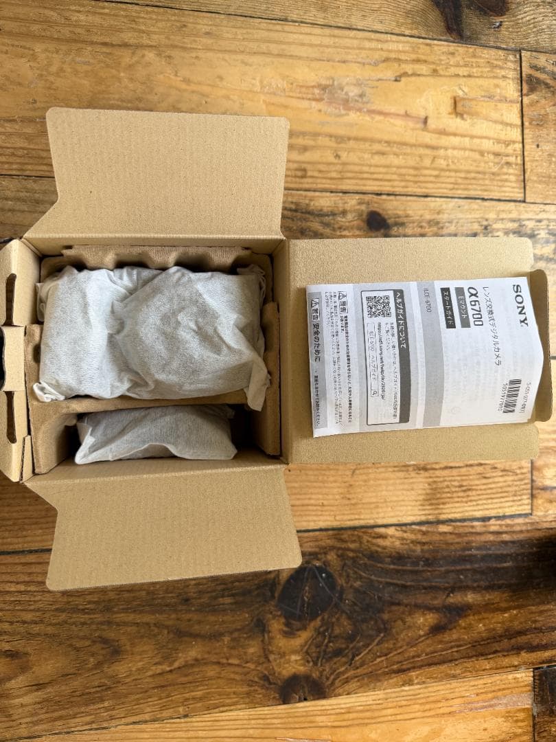 トラ　SONY α6700 本体 ILCE-6700とカメラバッグ