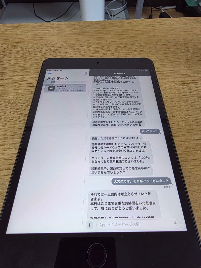 iPad mini5 セルラーモデル　256GB
