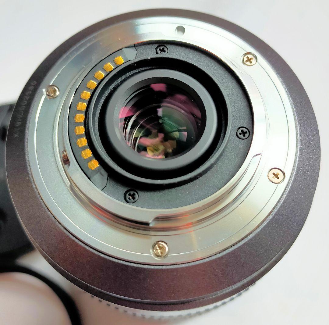 レンズ(ズーム) G VARIO 14-140mm f4-5.8 Panasonic