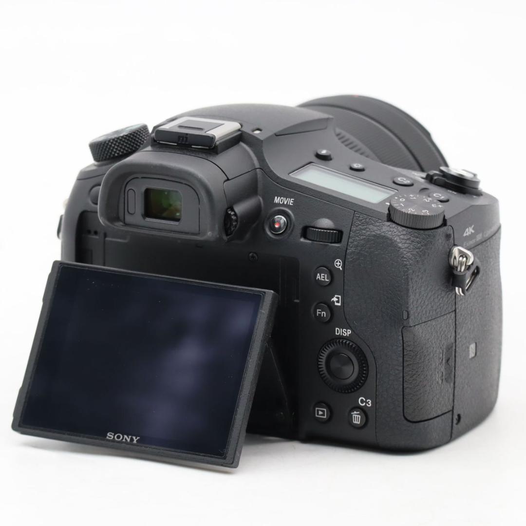 SONY Cyber-shot RX10IV　DSC-RX10M4　#3930