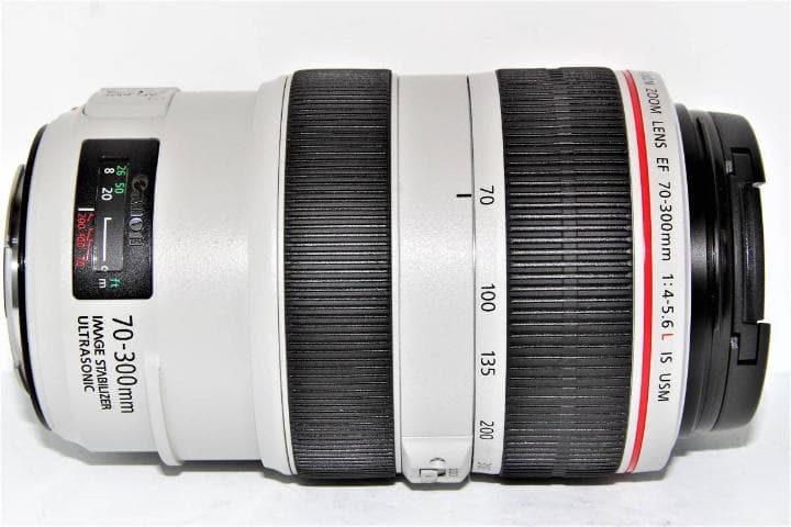 【手振れ】 キャノン EF70-300mm F4-5.6 L IS USM
