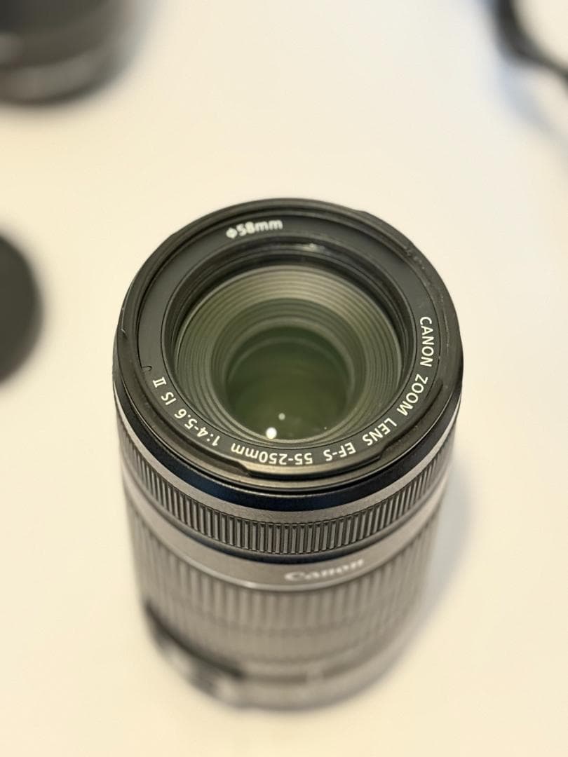 Canon EOS Kiss X5 ダブルズームキット（本体ジャンク品）