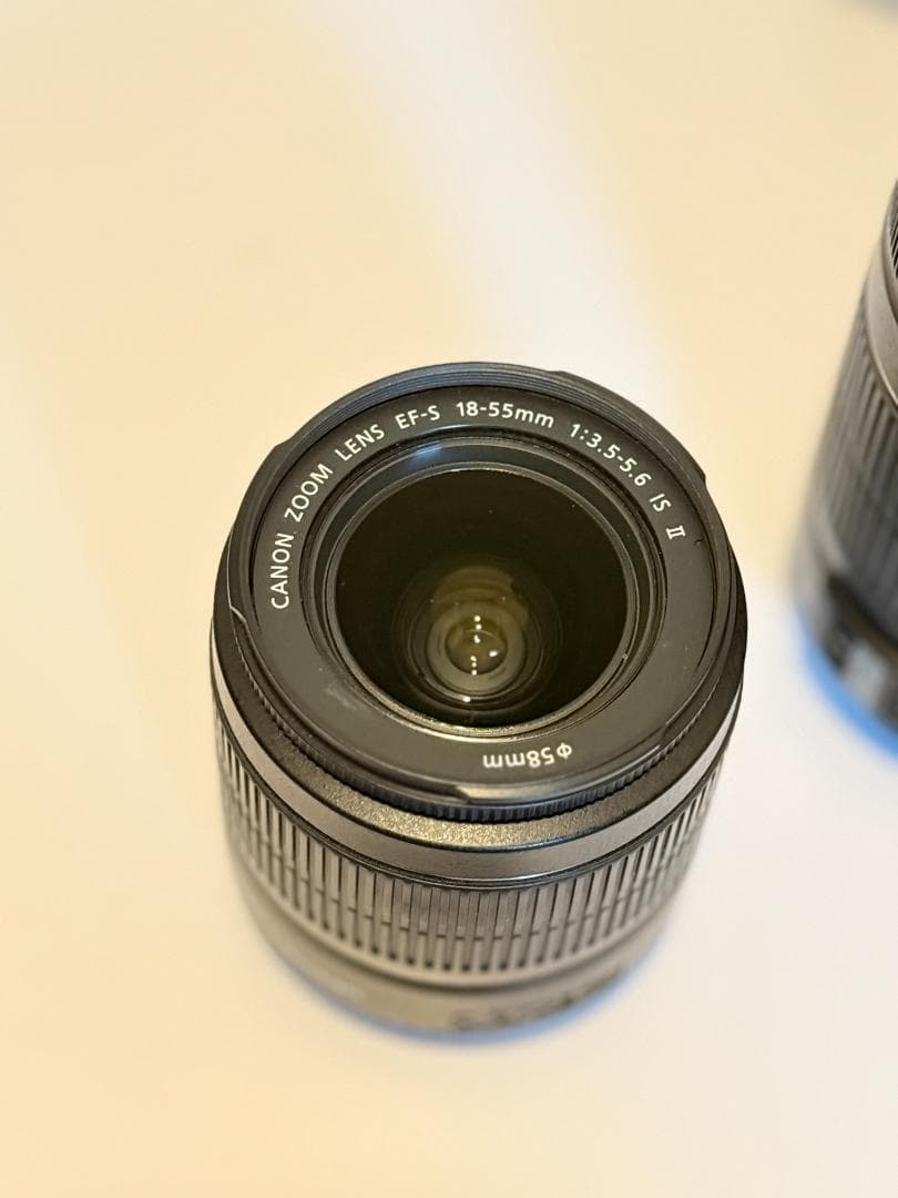 Canon EOS Kiss X5 ダブルズームキット（本体ジャンク品）