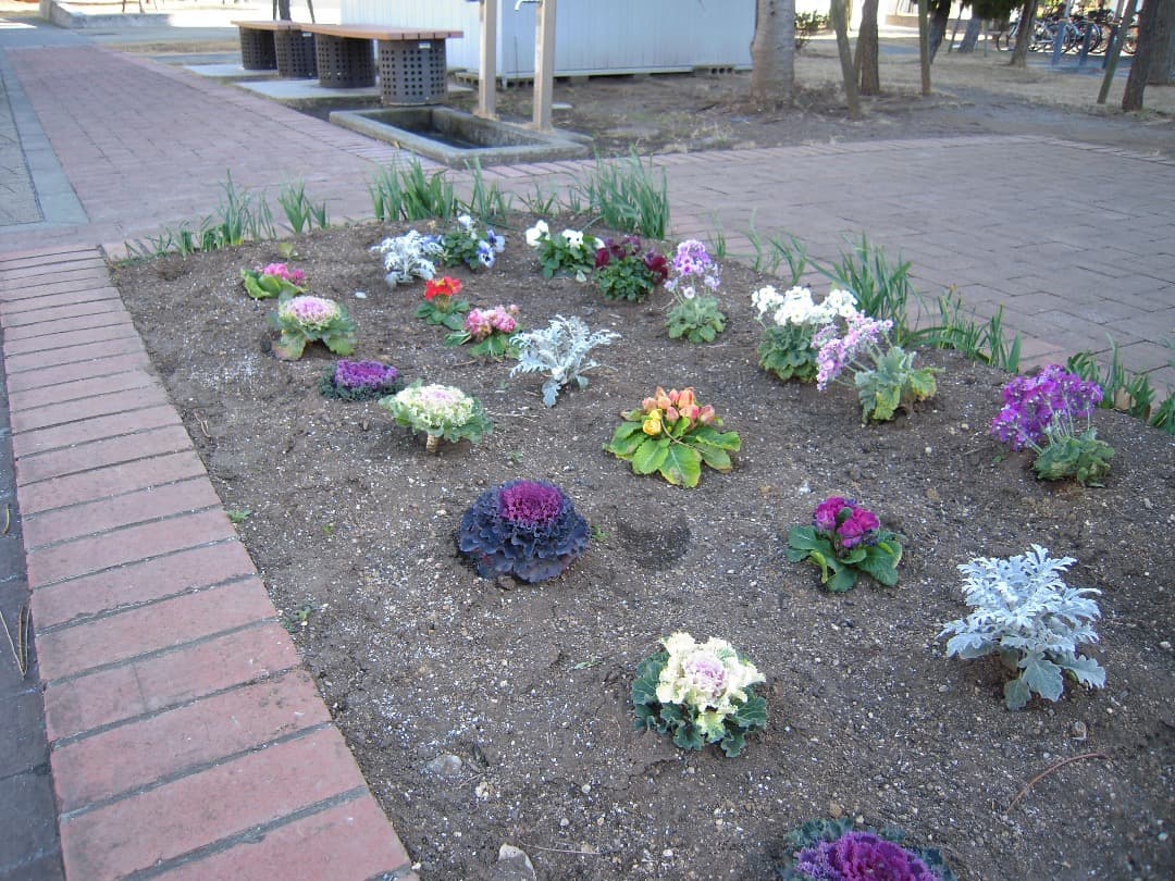 実写美⭕️良品【動作確認済】 Nikon COOLPIX S620 デジカメ