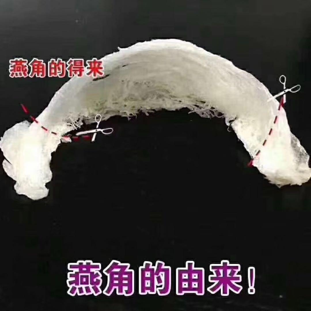 美肌効果♪コスパ高！リピーター様続出❗️天然燕の巣 燕角100g EGF シアル酸