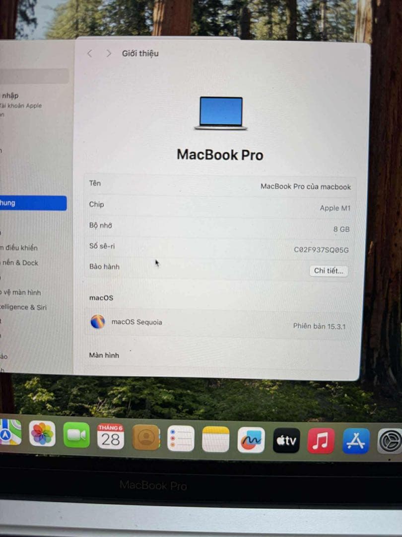 Apple MacBook シルバー USB-Cポート2つ