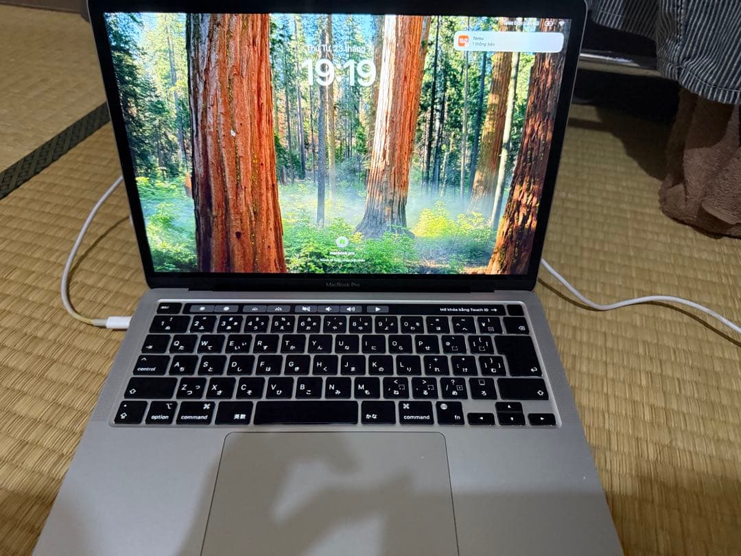 Apple MacBook シルバー USB-Cポート2つ