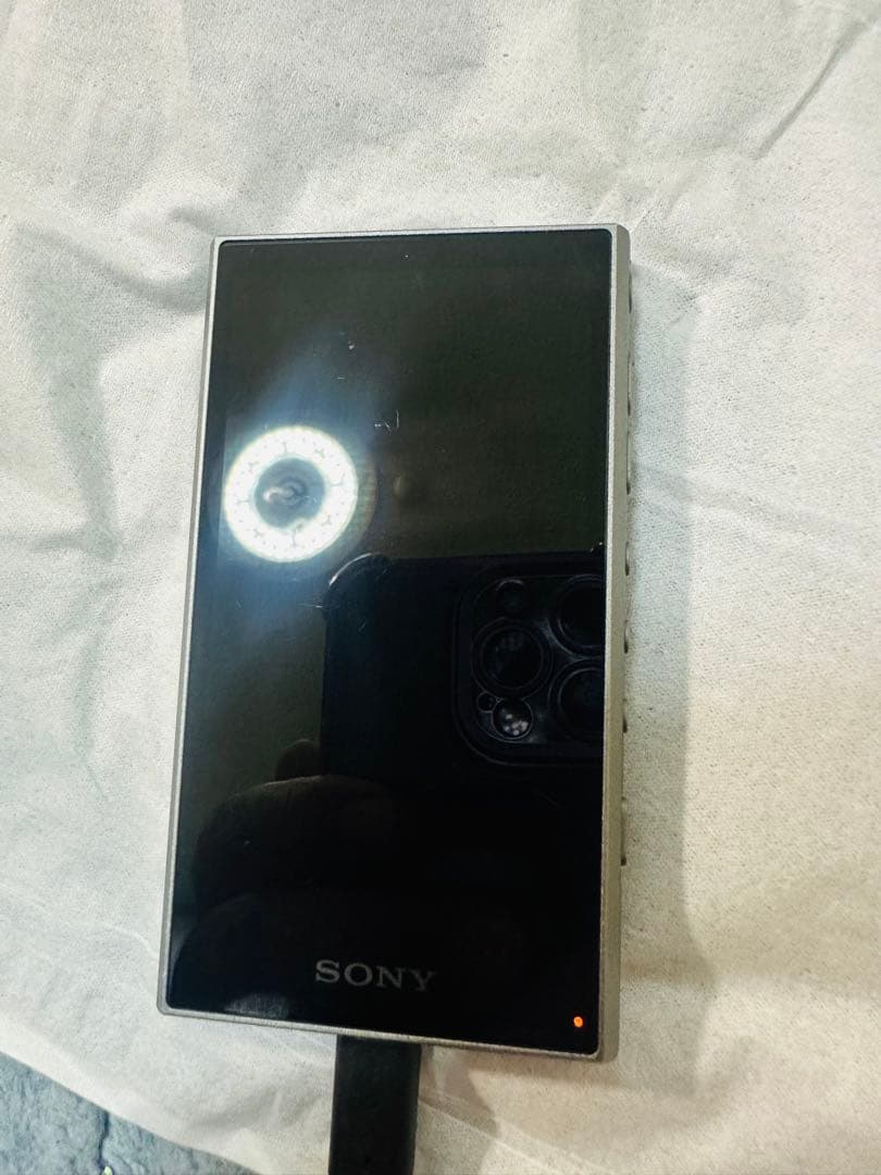 SONY NW-A307 デジタルオーディオプレーヤージャンク