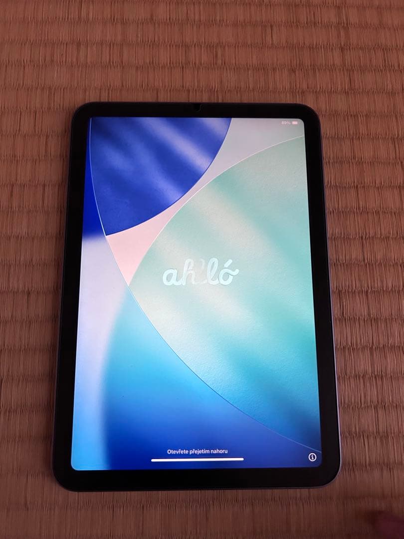 リ*.様 Apple iPad mini 第6世代 Wifiモデル 64GB パ