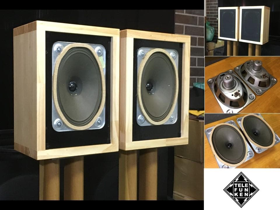 Telefunken 純正18×26㎝究極ユニットシステム伝説のサウンド ペア!