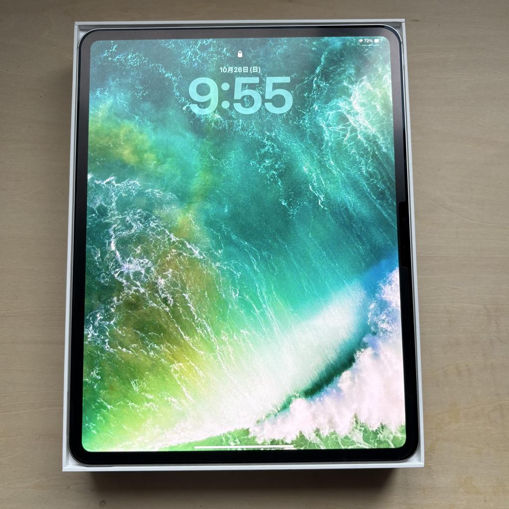 iPad Pro 13インチ M4 Wi-Fiモデル 256GB シルバー