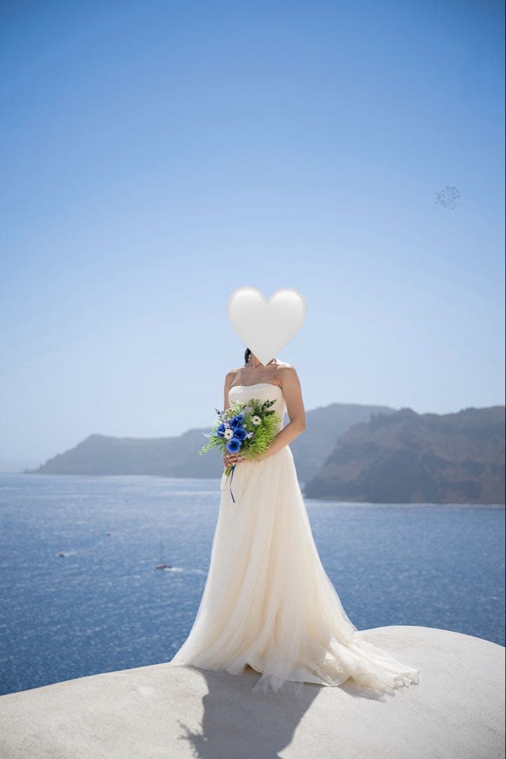 スーツ・フォーマル・ドレス VERAWANG delaney US2